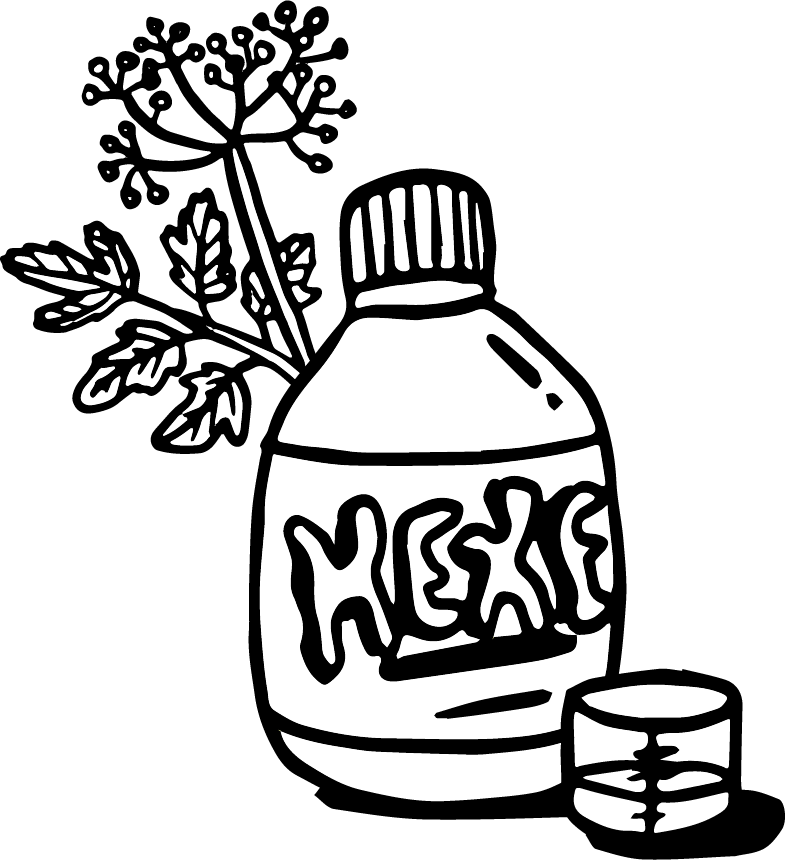 Illustration einer Flasche Hexe mit einem kleinen Messbecher vorne dran und einem Zweig im Hintergrund
