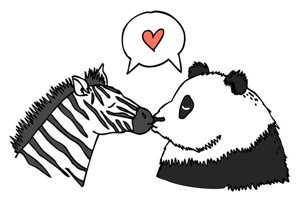 zebrapanda1-kopie