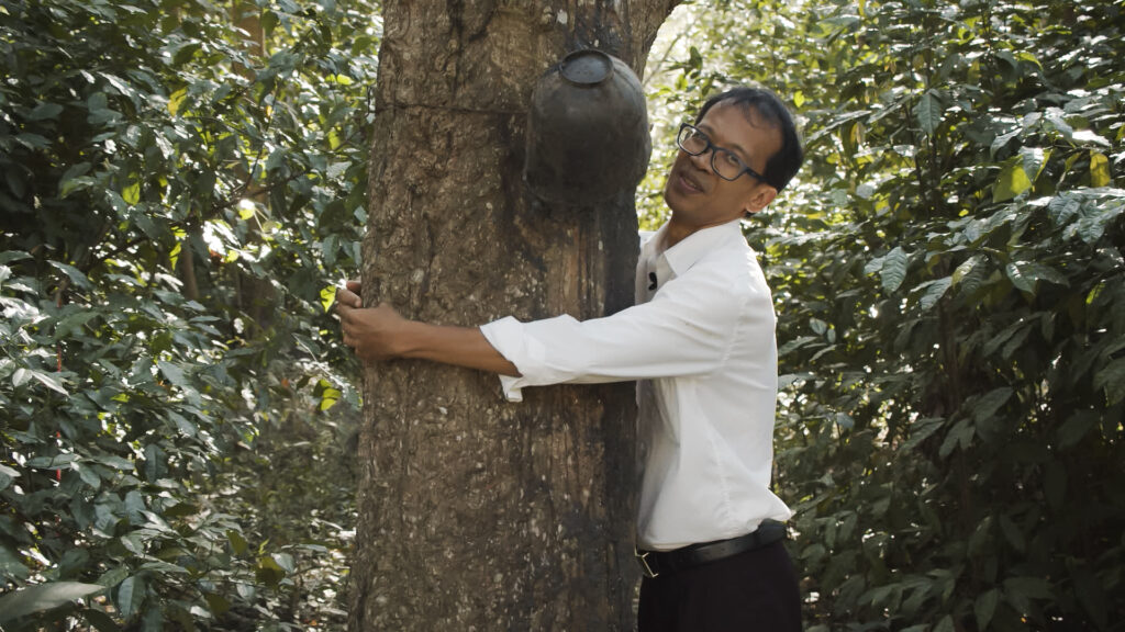 Prof. Dr. Sara Bumrungsri umarmt einen Kautschukbaum in Thailand